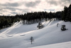 Phoca Thumb M Winterwald Und Licht 3321 2019